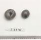 Click for 1 image(s) for this accession. FRUIT